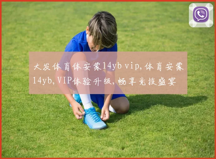 大发体育体安蒙14yb vip,体育安蒙14yb,VIP体验升级,畅享竞技盛宴